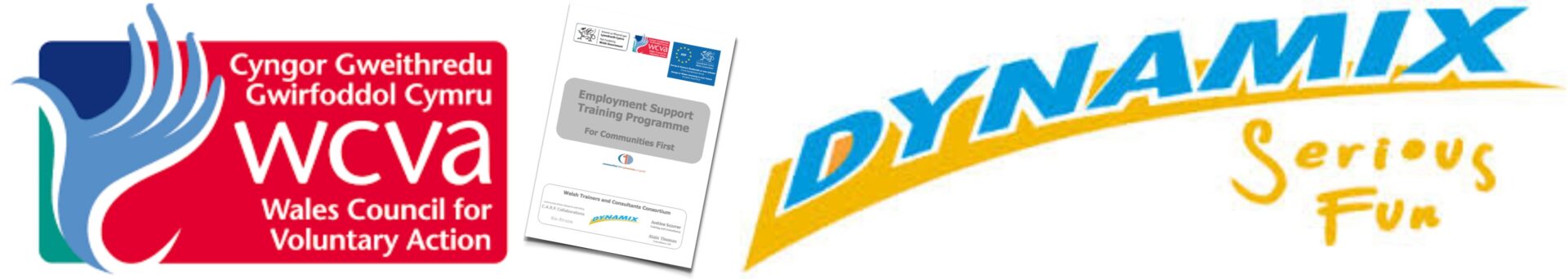 dynamix wcva communities first